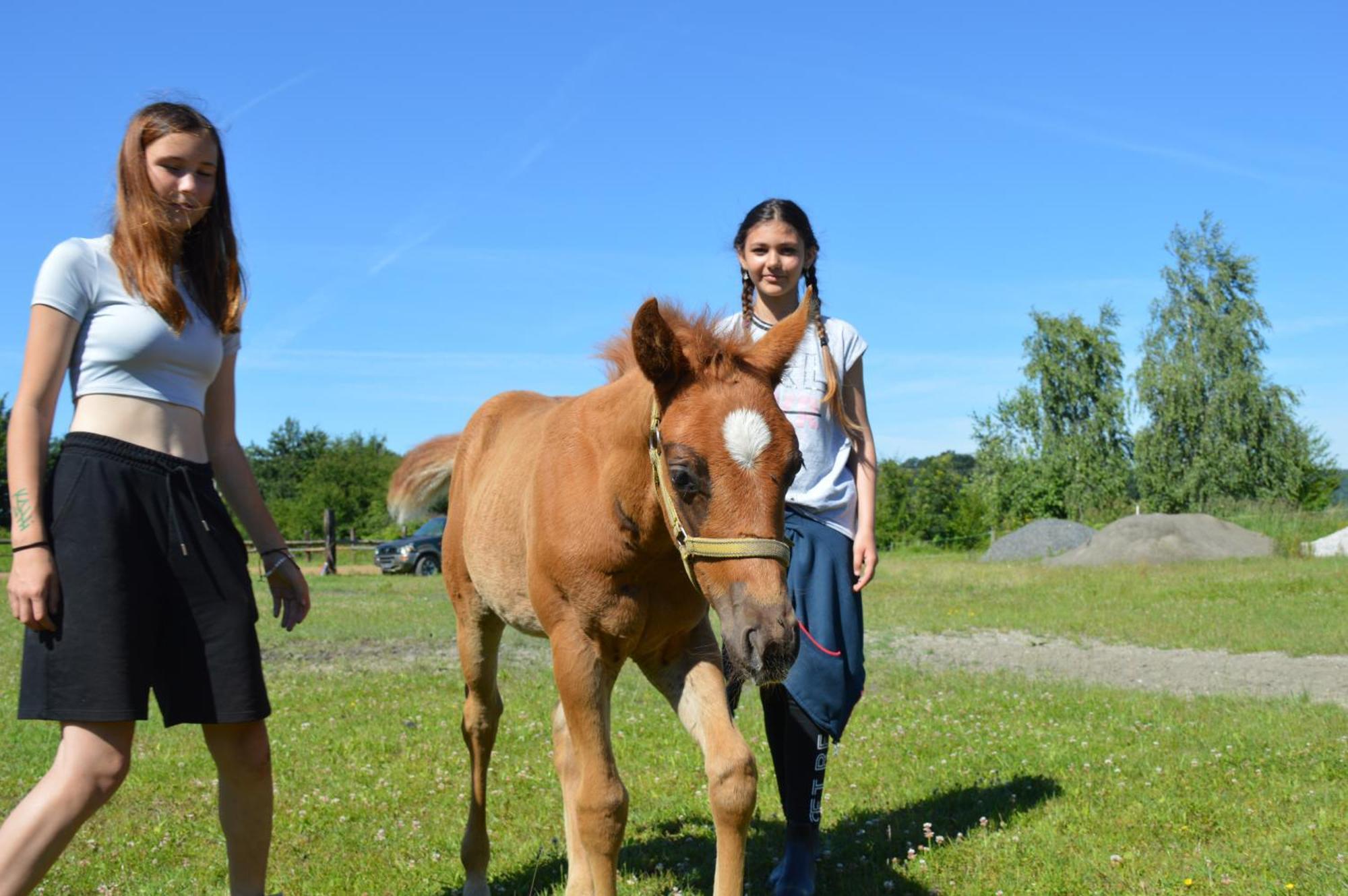 Bubla City Ranch Kopřivnice エクステリア 写真