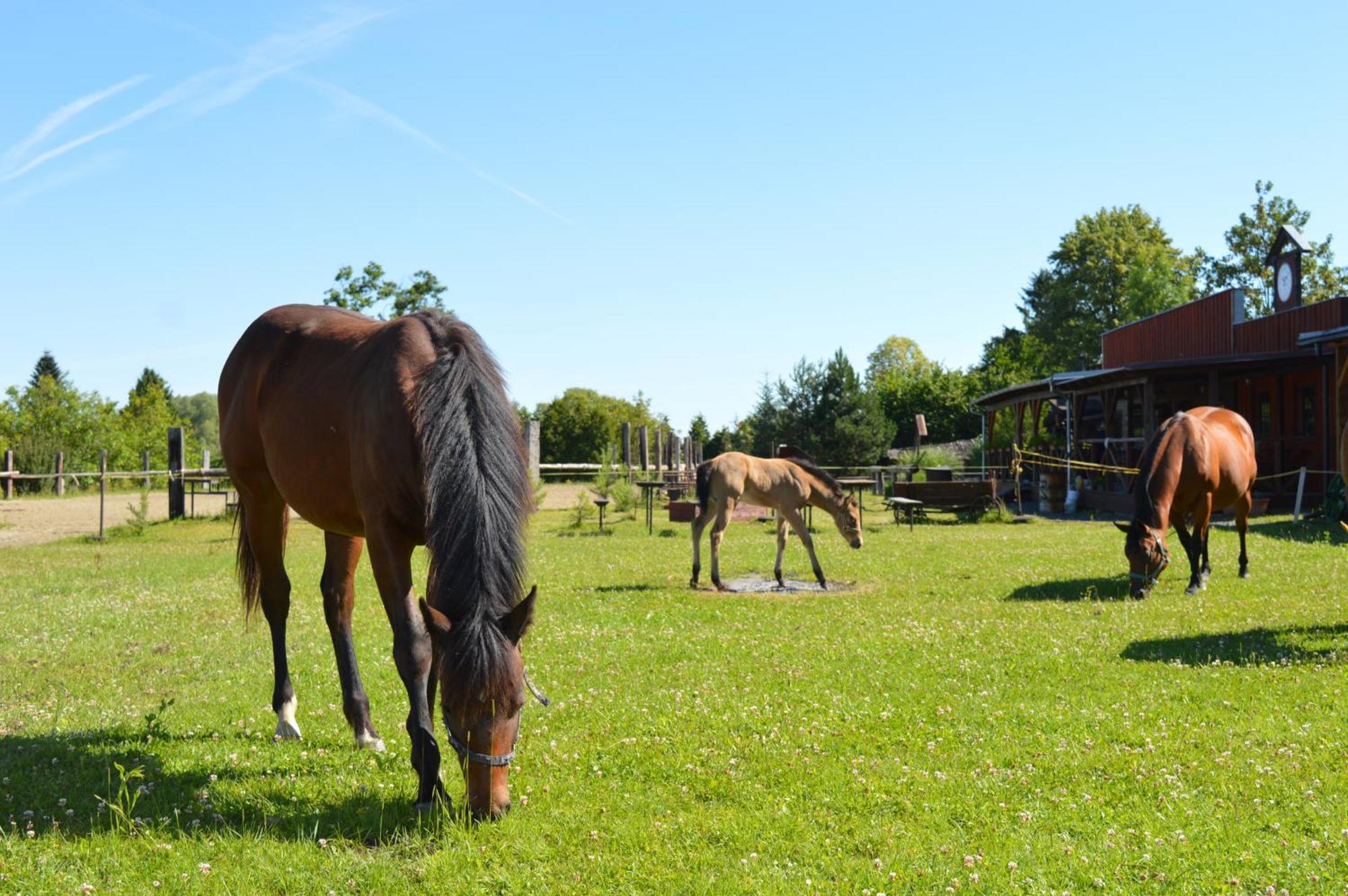 Bubla City Ranch Kopřivnice エクステリア 写真